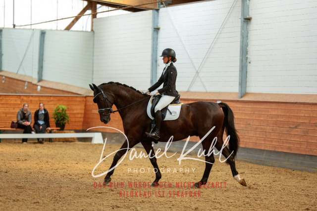 _62_4627 | Turniersportfotografie; Pferdefotografie; Dressurfotografie