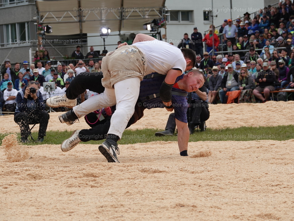 DSC08118 | Schwingen - Realisiert mit Pictrs.com
