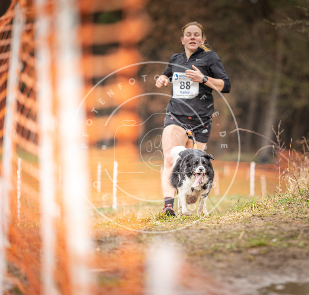 DV3A0384 | Hundefotografie, Tierfotograf, Pfotenfotografie, Fotoshooting Hund, Hunde Portrait, Hundesport, Hundeportraits, Heideshooting, Hunde, Sportfotograf, Hundefotograf, Turnierhundsport, THS,  - Realisiert mit Pictrs.com