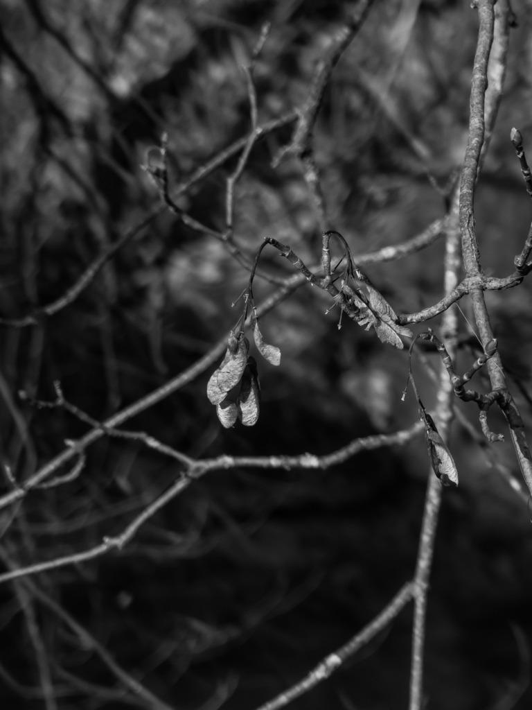 PSX_20230220_232236 | mtkfoto_ - Realisiert mit Pictrs.com