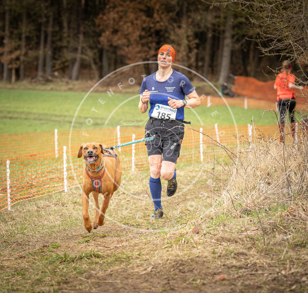 DV3A2582 | Hundefotografie, Tierfotograf, Pfotenfotografie, Fotoshooting Hund, Hunde Portrait, Hundesport, Hundeportraits, Heideshooting, Hunde, Sportfotograf, Hundefotograf, Turnierhundsport, THS,  - Realisiert mit Pictrs.com