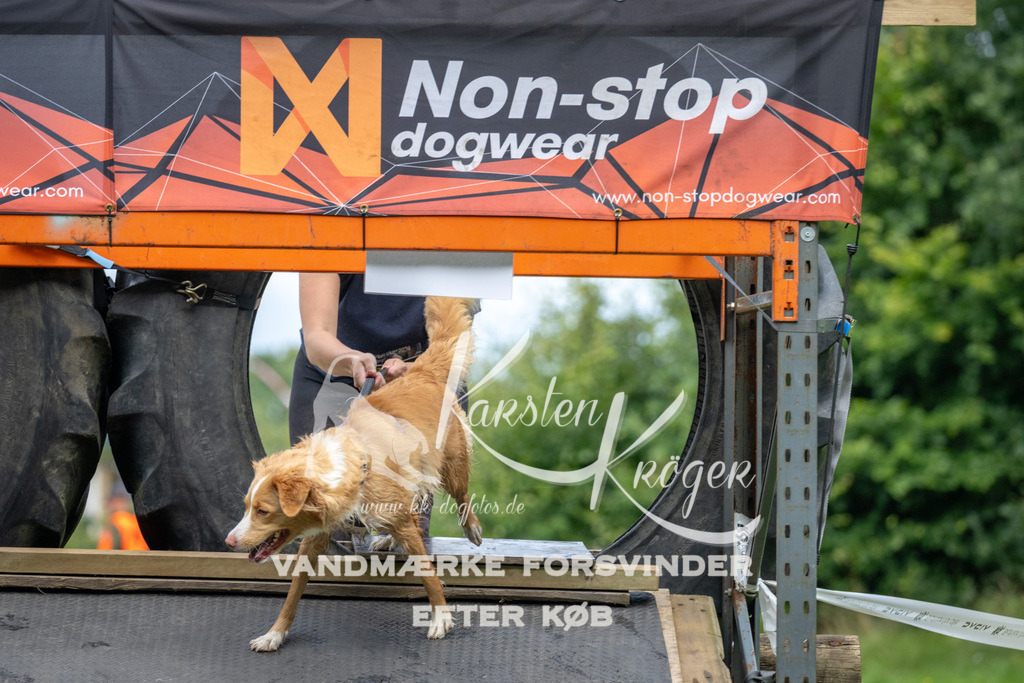 1231_ZZ93882 | kk-dogfotos