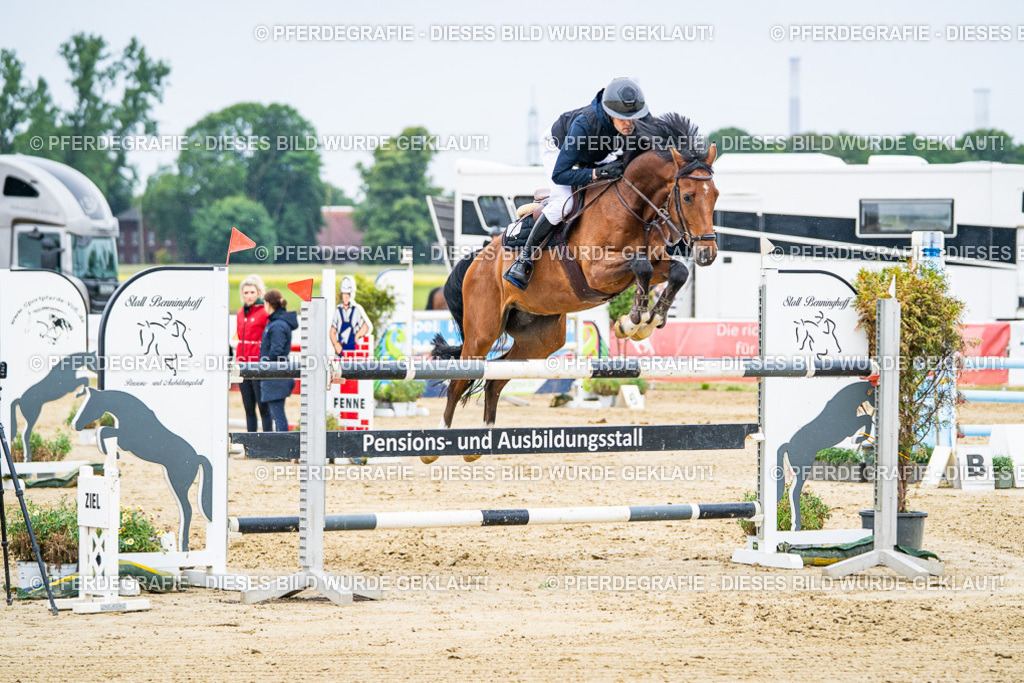 DSC08317 | Pferdegrafie