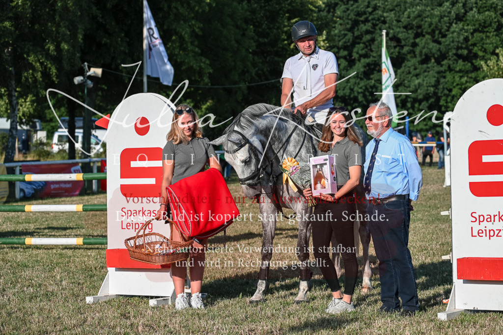 DSC_3175 | Pferde- und Turnierfotografie in Westsachsen. Pferdeportraits, Auftragszeichnungen und intuitive Kunst.
