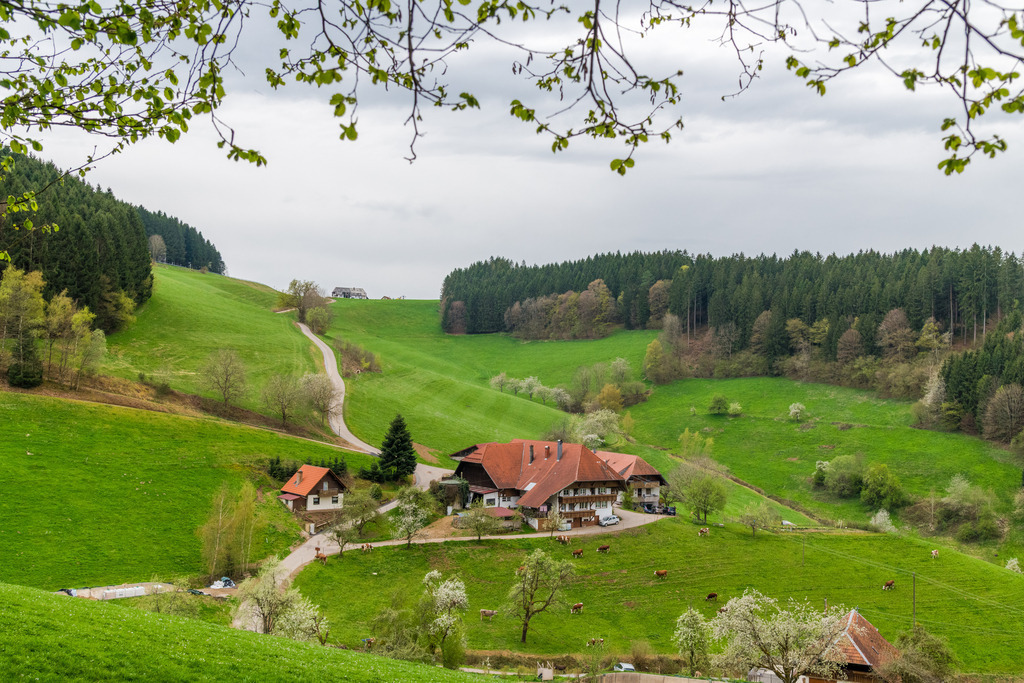 Ausblick Oberbüchern | Bldick auf den Prinzbachhof - Realisiert mit Pictrs.com