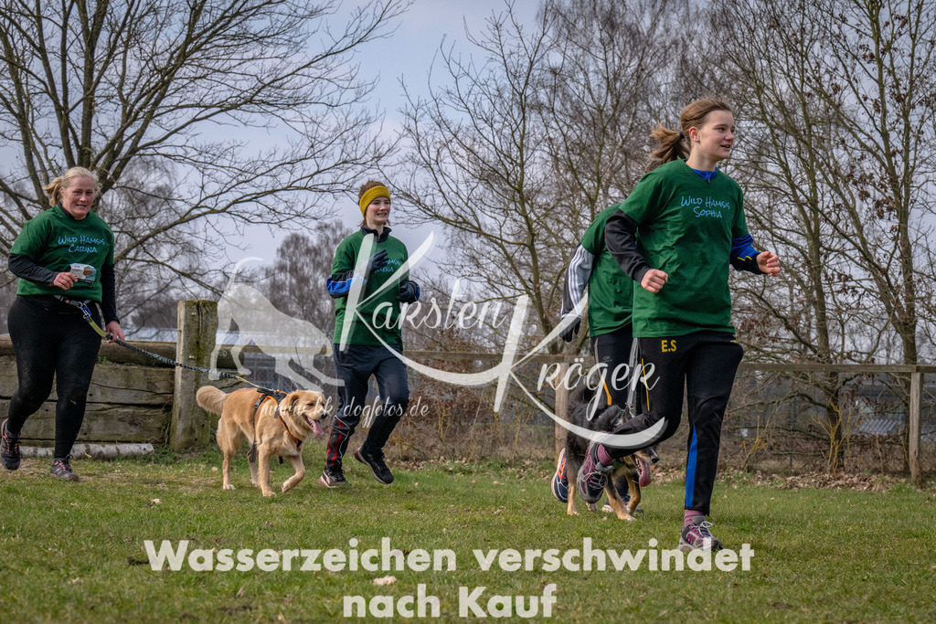 _ZZ90881 | kk-dogfotos