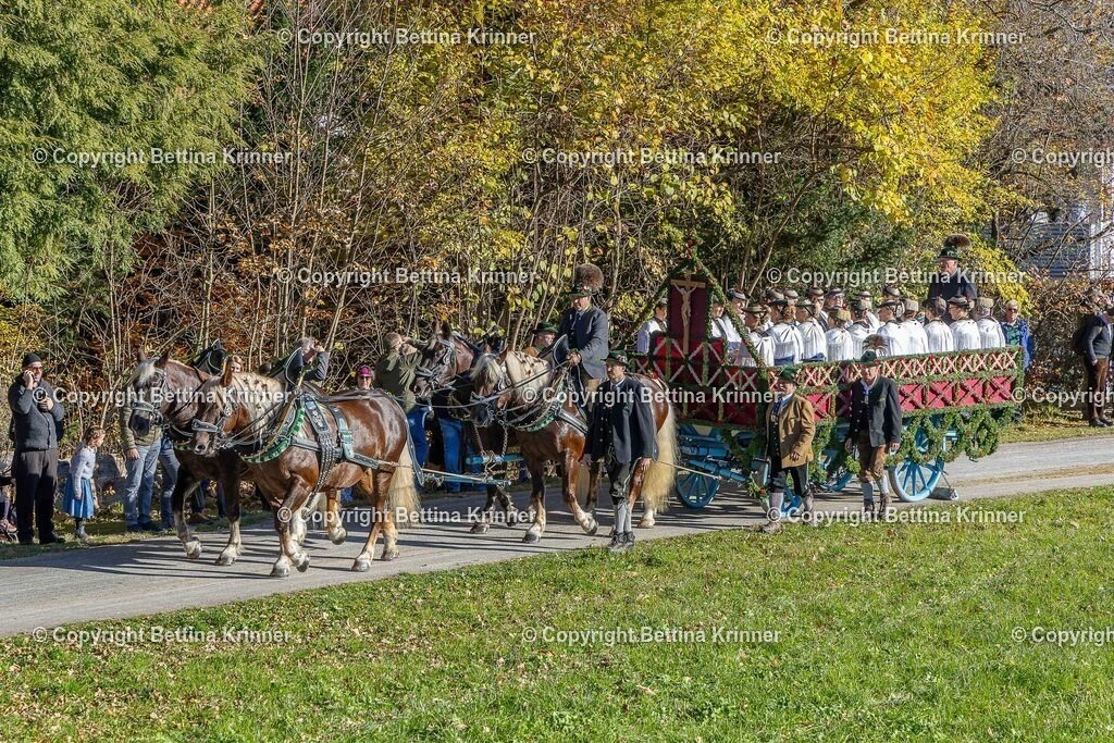 LBT25-490 | foto-bettina-krinner - Realisiert mit Pictrs.com