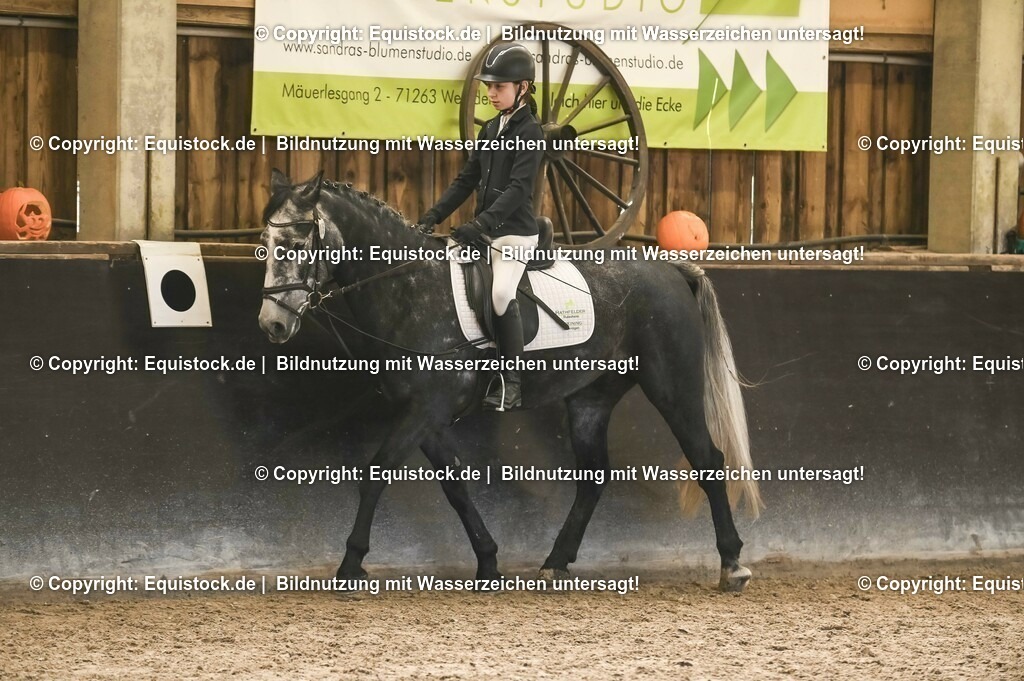 03_Reiter-WB_0132 | Foto: Thomas Hartig