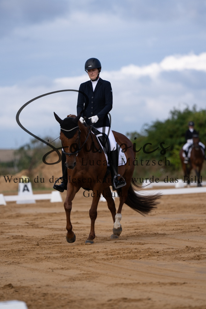 A7V05105 | Pferdefotograf