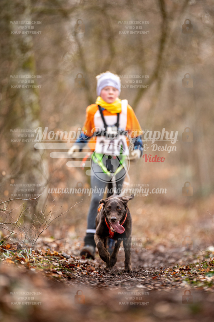 Reiat2023_SON_CaniXRun_5km_M-33 | PayLife