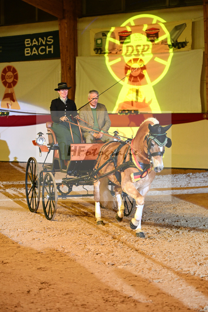 Nachtstolz_2242182 | hf-fotografie - Realisiert mit Pictrs.com