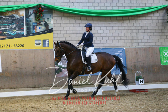IMG_2738 | Turnierfotos kaufen im Webshop von Daniel Kuhl Photography – entdecke professionelle Reitsportfotos aus Turnieren & Events. Hochwertige Turnierbilder online bestellen & sichern. Jetzt Fotos von Reitsportturnieren kaufen!