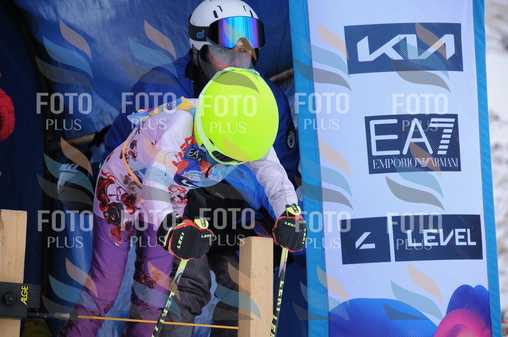 DSC_8008 | holidayphoto