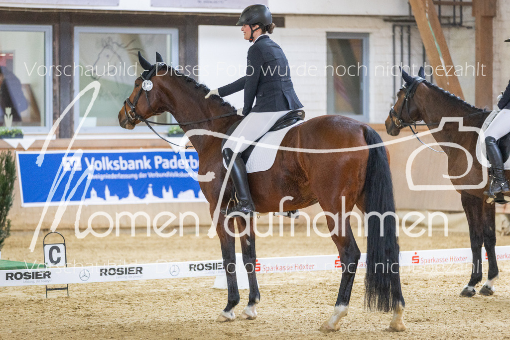 Sth-LPO25-A-Dr-033 | MomenTaufnahmen Pferdesportfotos