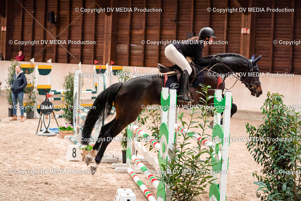 Springen Tag 1-36 | dv-media-shop - Realisiert mit Pictrs.com