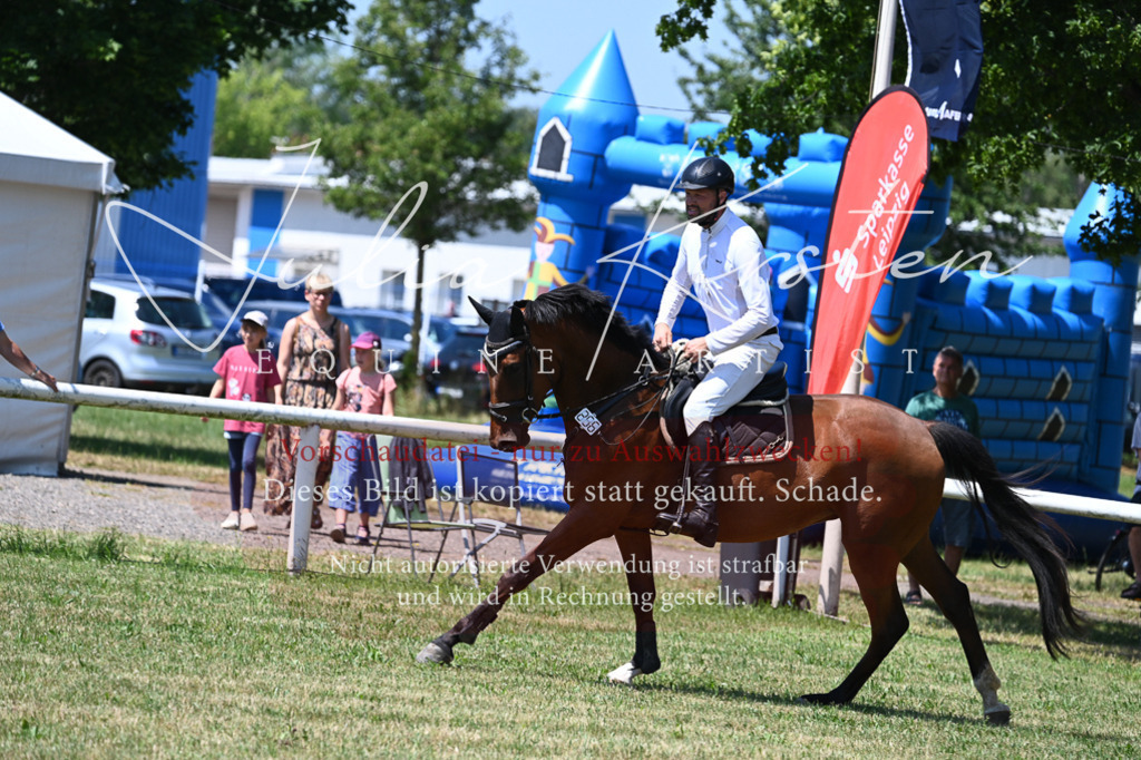 DSC_0600 | Pferde- und Turnierfotografie in Westsachsen. Pferdeportraits, Auftragszeichnungen und intuitive Kunst.