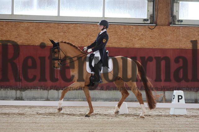 Balingen_2025_Sichtungsturnier_Junge Reiter_Dressurprfg.Kl.S_Teresa Hoffmeister_Don Clorentino des Paluds (1) | Alle Fotos der Reiterjournal Fotografin Doris Matthaes im Reiterjournal Online-Fotoshop. - Realisiert mit Pictrs.com