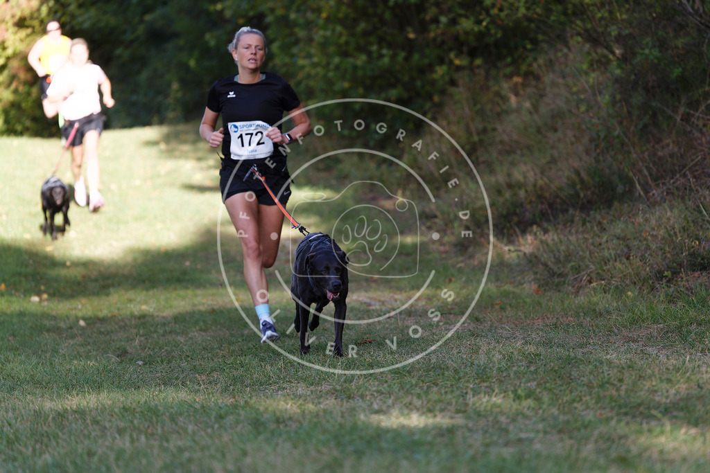 0L8A5470 | Hundefotografie, Tierfotograf, Pfotenfotografie, Fotoshooting Hund, Hunde Portrait, Hundesport, Hundeportraits, Heideshooting, Hunde, Sportfotograf, Hundefotograf, Turnierhundsport, THS,  - Realisiert mit Pictrs.com
