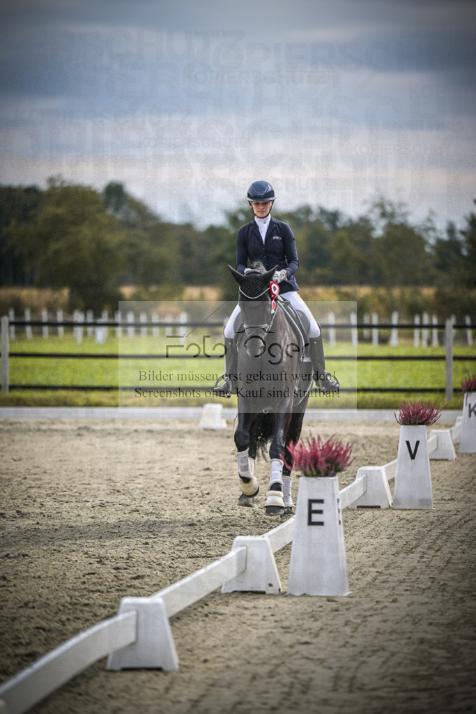 DOS_0137 | Entdecke hochwertige Reitturnierfotos von Foto Oger. Professionell, emotional und authentisch – jetzt Lieblingsmomente im Shop bestellen.Deutschlandweite Turnierfotografie. - Realisiert mit Pictrs.com