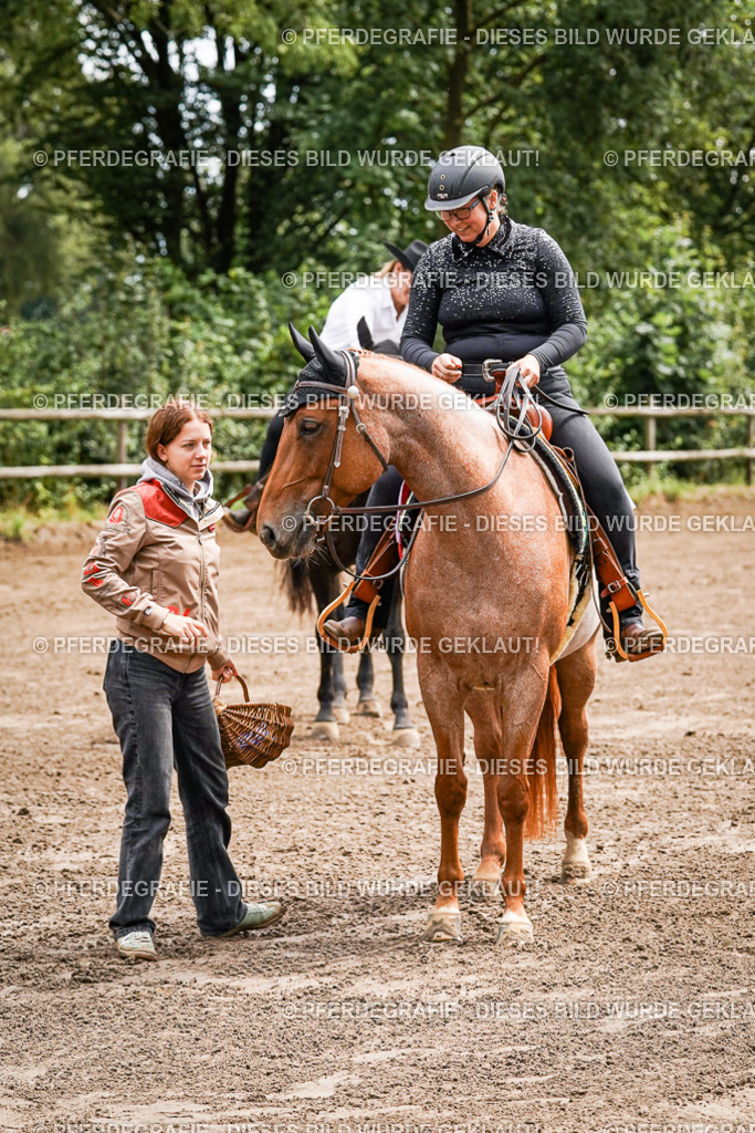 DSC05800 | Pferdegrafie