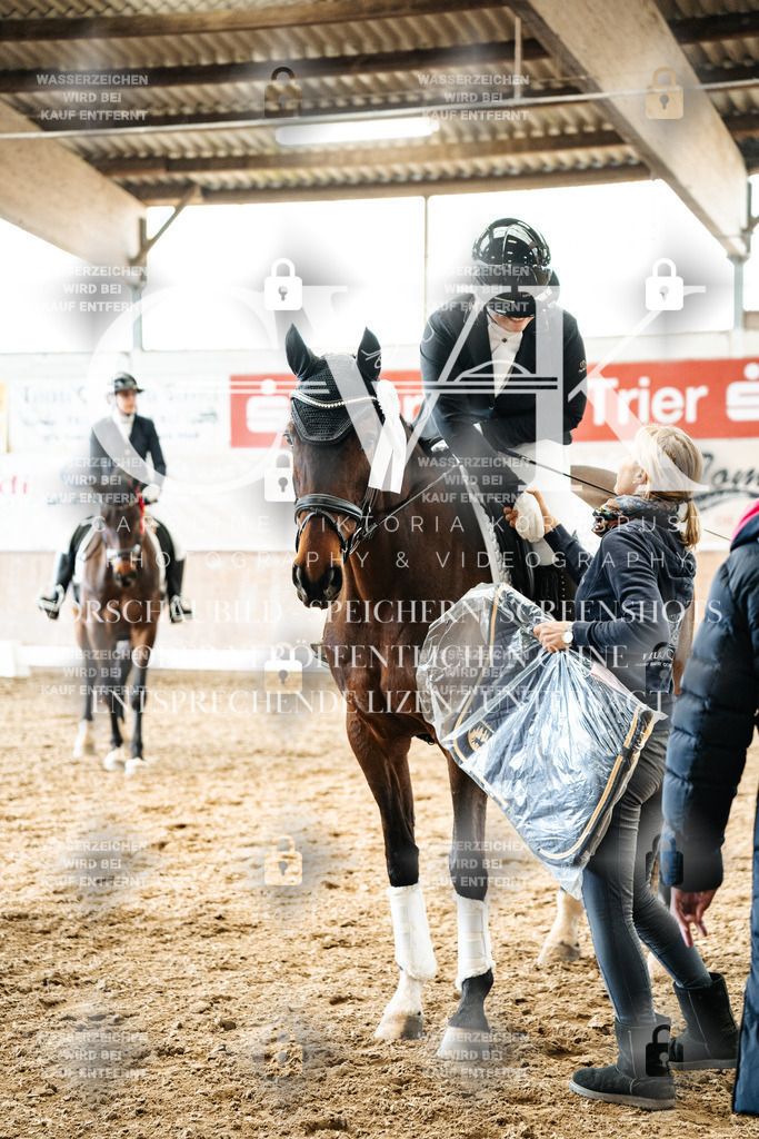 CK703134 | Turnierfotografie Pferdefotografie Trier Rheinland-Pfalz Pferdesport Reitsport Tierfotografie Sportfotografie Pferdevideo Pferdevideografie Equestrianvideography equestrianphotography  - Realisiert mit Pictrs.com