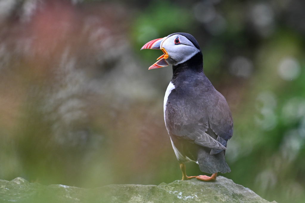 DSC_5886 | Ich fotografiere aus Leidenschaft auf meinen Reisen und im Rhein- / Ruhrgebiet , Landschaften, Tiere und Porträts. 

Kaufen Sie die Bilder (u.a. Venedig, Südtirol, Galapagos, Düsseldorf, Indien, Blumen etc.) in einer geschützten Galerie bequem online. - Realisiert mit Pictrs.com