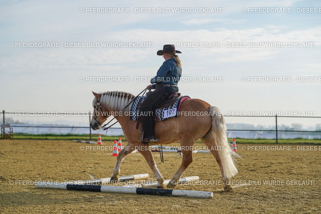 DSC00320 | Pferdegrafie