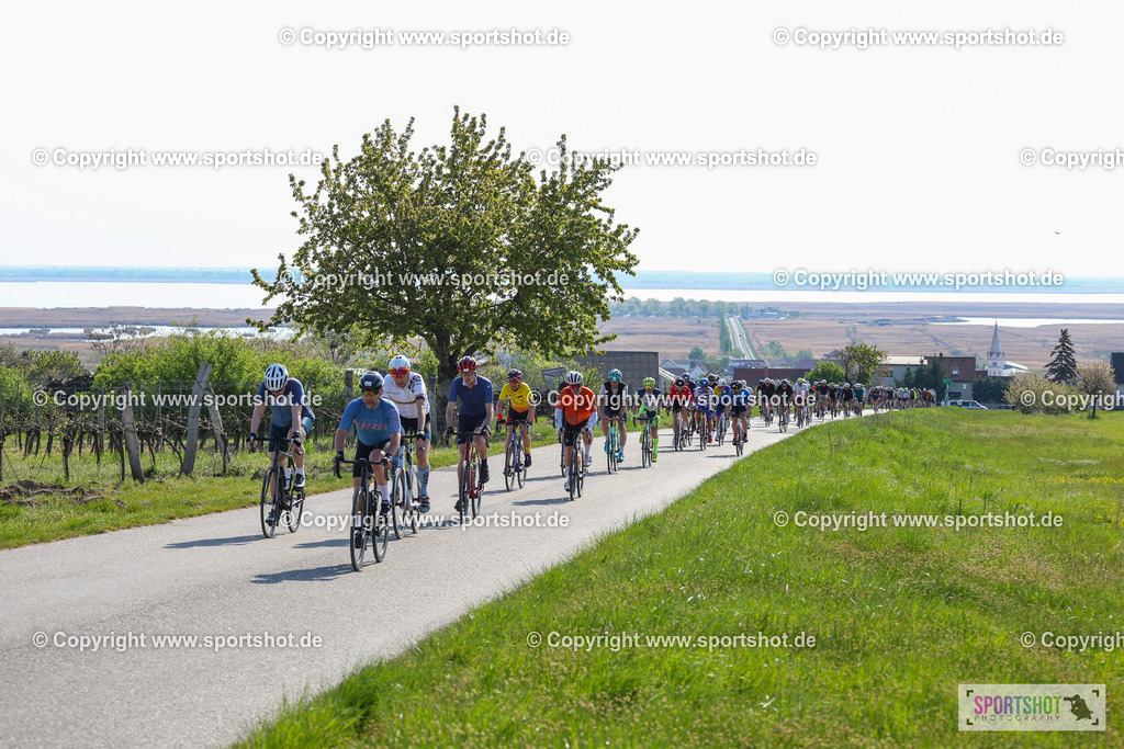 IMG_1738 | @sportshot_your_pictrs #yourpictures#roadtowm2029 #nrm #neusiedlerseeradmarathon #neusiedlersee #neusiedlerseetourismus #burgenland #mörbisch #nrm26 #burgenlandtourismus #voglundco #poweredbyburgenlandtourismus #radsport #rad #marathon #ucigranfondo #visitburgenland #ucigranfondoworldseries