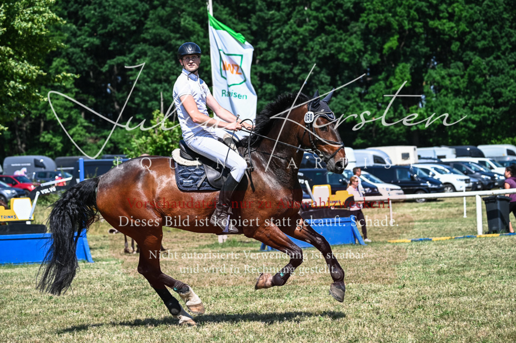 DSC_1216 | Pferde- und Turnierfotografie in Westsachsen. Pferdeportraits, Auftragszeichnungen und intuitive Kunst.