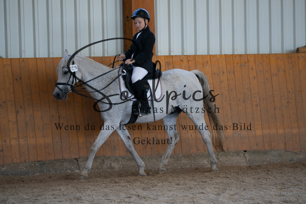 A7V02133 | Pferdefotograf