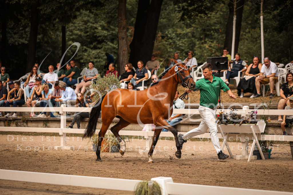 10.So00106 | Leoni Ertmer Photography - Realisiert mit Pictrs.com