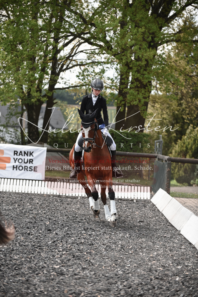 20230513_JK-Röhrsdorf-14-1044 | Pferde- und Turnierfotografie in Westsachsen. Pferdeportraits, Auftragszeichnungen und intuitive Kunst.