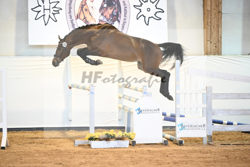 Kat-Nr. 20 v. Million Dollar_Eisenrieder_2230455 | hf-fotografie - Realizzato con Pictrs.com