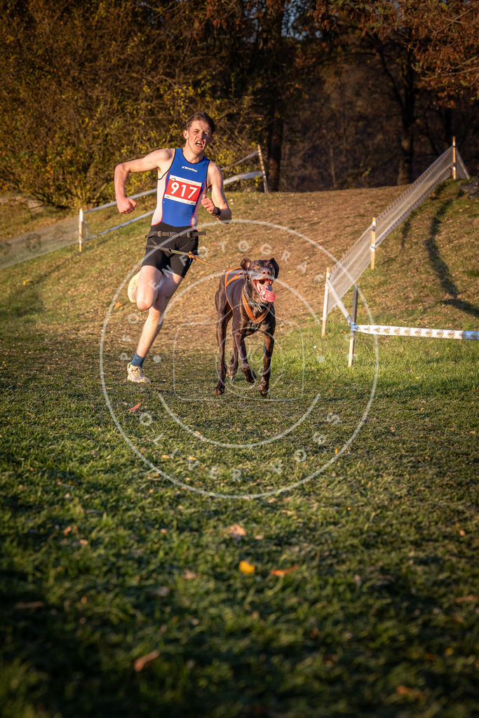 CaniXpix_0L8A1516 | Hundefotografie, Tierfotograf, Pfotenfotografie, Fotoshooting Hund, Hunde Portrait, Hundesport, Hundeportraits, Heideshooting, Hunde, Sportfotograf, Hundefotograf, Turnierhundsport, THS,  - Realisiert mit Pictrs.com