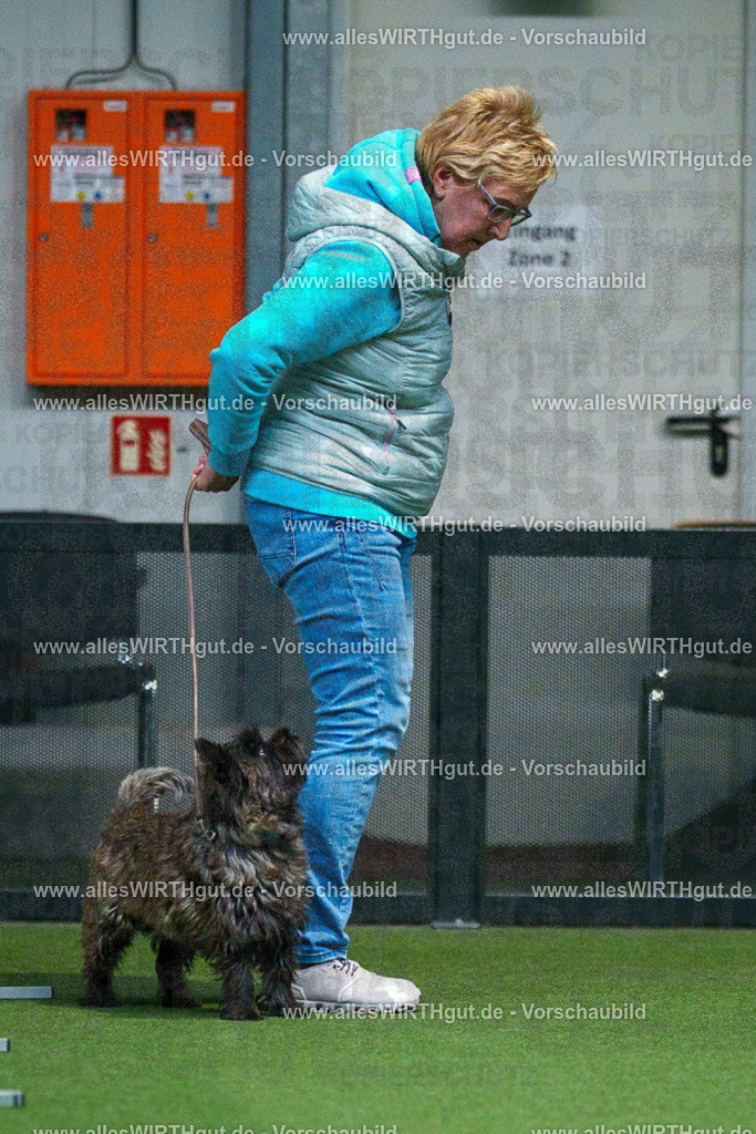 7R503193 | Professionelle Tierfotografie in Mönchengladbach von Daniel Wirth (allesWIRTHgut). Liebevolle & natürliche Bilder von Hunden & Katzen für unvergessliche Erinnerungen.