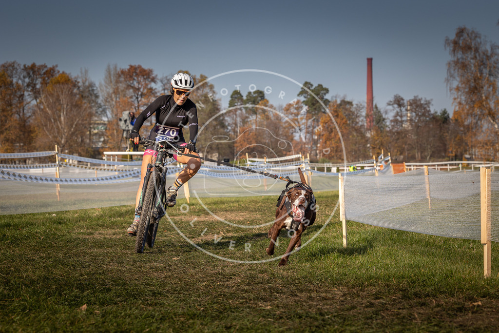 CaniXpix_0L8A7779 | Hundefotografie, Tierfotograf, Pfotenfotografie, Fotoshooting Hund, Hunde Portrait, Hundesport, Hundeportraits, Heideshooting, Hunde, Sportfotograf, Hundefotograf, Turnierhundsport, THS,  - Realisiert mit Pictrs.com