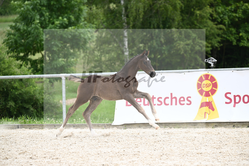 Segantini x Desperados_HF_Kloessinger_20240932 | hf-fotografie - Realizzato con Pictrs.com