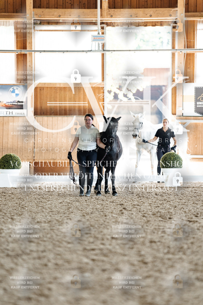 CK907914 | Turnierfotografie Pferdefotografie Trier Rheinland-Pfalz Pferdesport Reitsport Tierfotografie Sportfotografie Pferdevideo Pferdevideografie Equestrianvideography equestrianphotography  - Realisiert mit Pictrs.com
