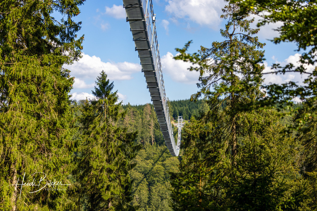 Skywalk Willingen über dem Strycktal | Der Skywalk Willingen ist die längste Hängebrücke Deutschlands und die zweitlängste der Welt. - Realisiert mit Pictrs.com
