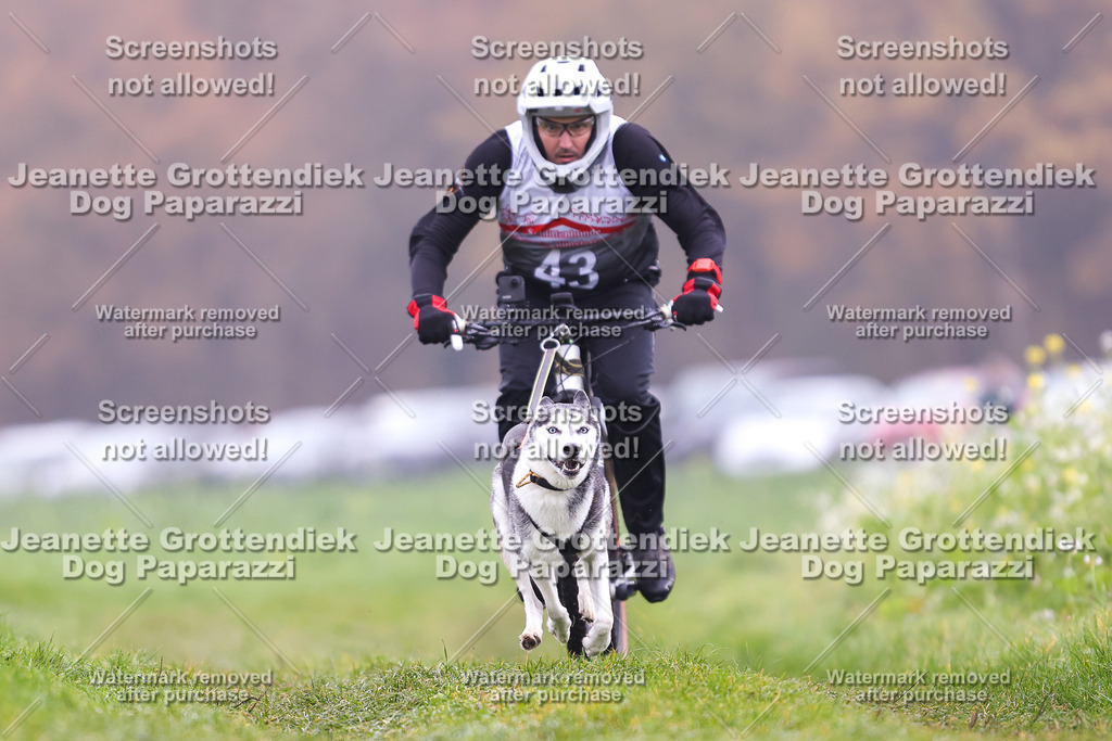 Dog Paparazzi - Visbeck 25 -193 | Dog Paparazzi Jeanette Grottendiek Fotografie & Videografie - Realisiert mit Pictrs.com