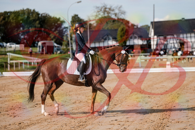 2026_10_03_Siefer-Hof_114722_Z63_26004856 | Professionelle Reitsport-, Turnier- und Eventfotografie von Robert Broda. Galerien mit ausgewählten und bearbeiteten Bildern direkt online ansehen und bestellen.
