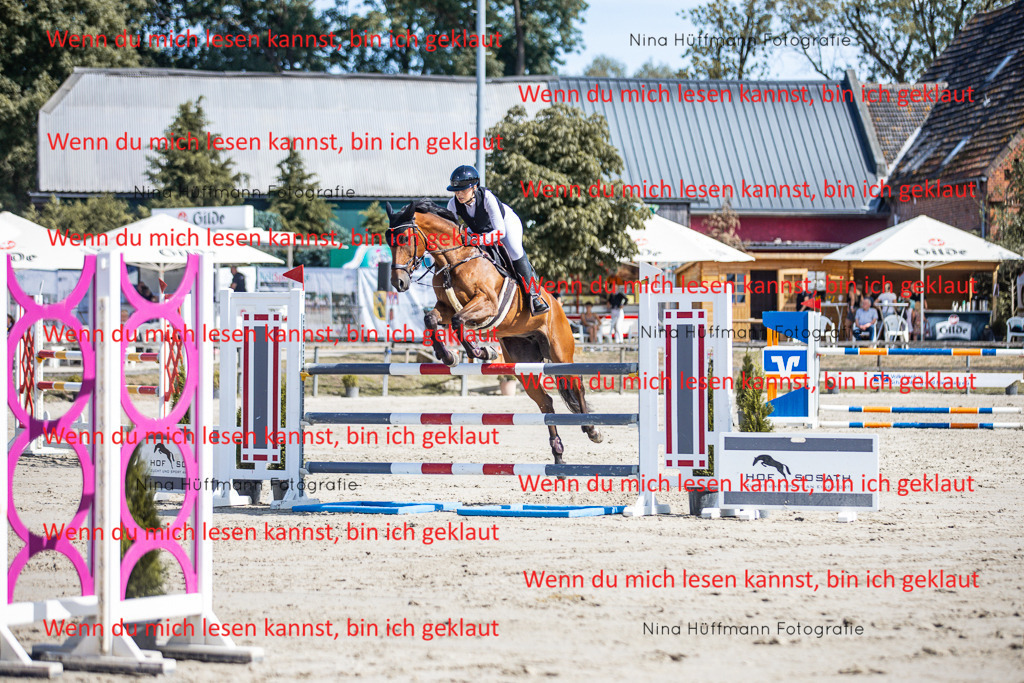 BK1A6903 | Turnierbilder Turnierfotos Nina Hüffmann Turnierfotografie Pferdefotografie Tierzeichnung Haustierzeichnung Pferdezeichnung Hundezeichnung Videograf  - Realisiert mit Pictrs.com