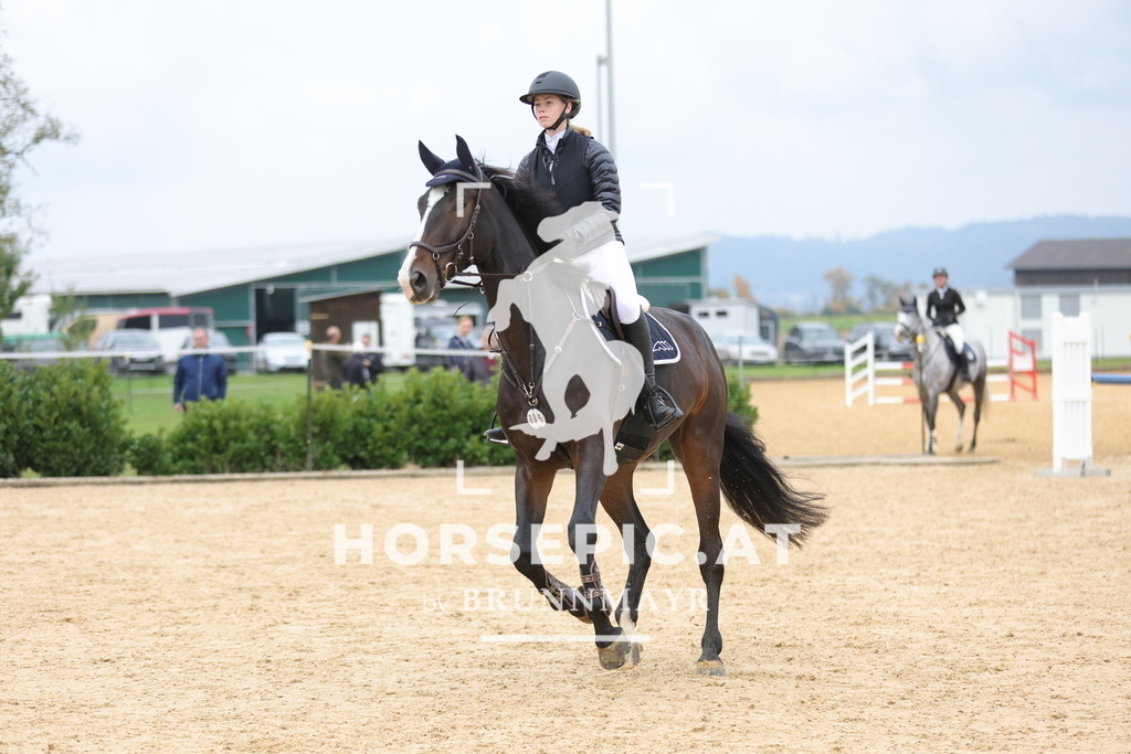 0P6A2551 | Willkommen bei Brunnmayr - Design & Fotografie – Ihrem Spezialisten für Reitturniere und Pferdeveranstaltungen in Oberösterreich, Salzburg und Bayern! Seit über 17 Jahren sind wir leidenschaftlich dabei.
