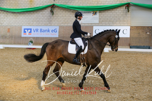 IMG_2724 | Turnierfotos kaufen im Webshop von Daniel Kuhl Photography – entdecke professionelle Reitsportfotos aus Turnieren & Events. Hochwertige Turnierbilder online bestellen & sichern. Jetzt Fotos von Reitsportturnieren kaufen!
