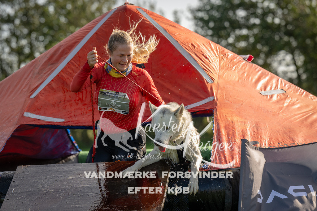 1118-91999 | kk-dogfotos