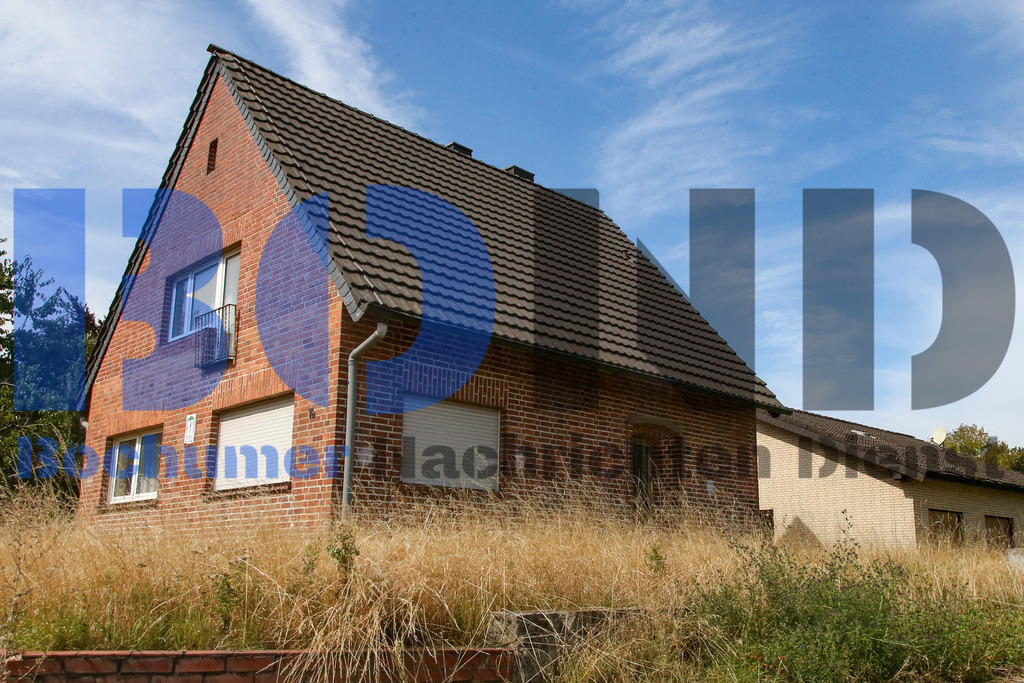 SES_TAGHAM2025082-31 | bond - Realisiert mit Pictrs.com