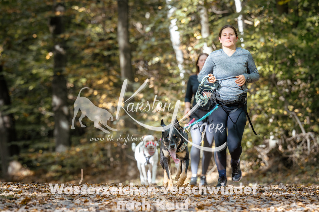 1253_ZZ96526 | kk-dogfotos