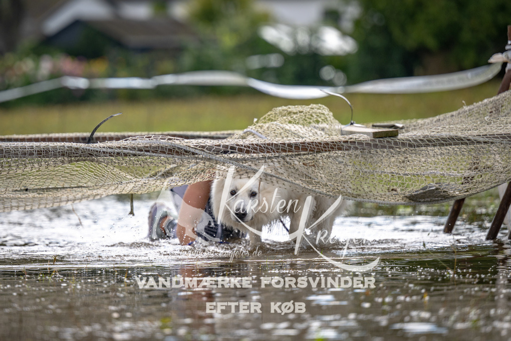 1337_ZZ90413 | kk-dogfotos
