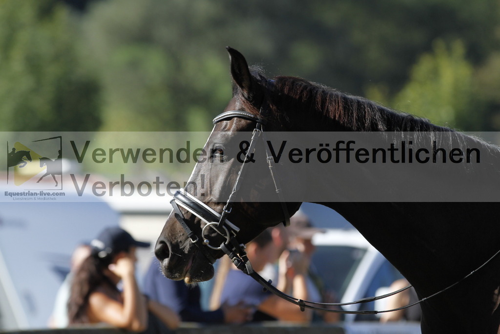 _MG_4876 | equestrian-live-com