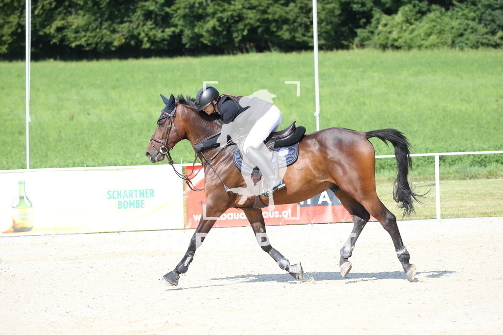 DL2Q1134 | Willkommen bei Brunnmayr - Design & Fotografie – Ihrem Spezialisten für Reitturniere und Pferdeveranstaltungen in Oberösterreich, Salzburg und Bayern! Seit über 17 Jahren sind wir leidenschaftlich dabei.